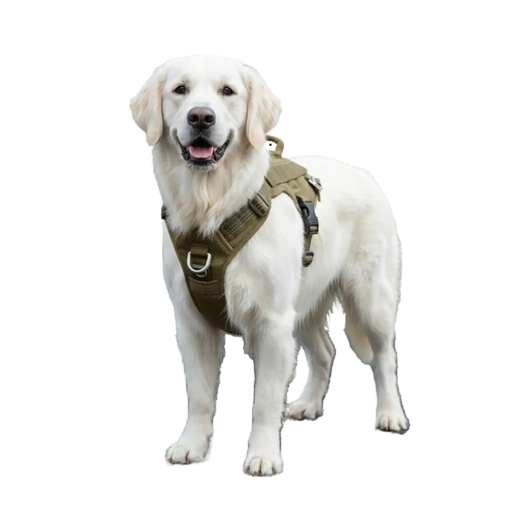 Ergonomisches No-Pull Hundegeschirr in Grau und Military Green an einem Hund – Hochwertiges, ausbruchsicheres Brustgeschirr aus Oxford-Gewebe für maximale Sicherheit beim Gassi gehen.
