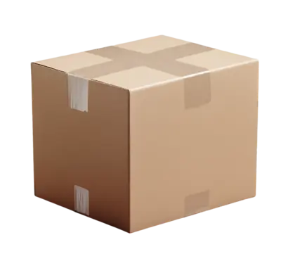 Schneller Blitzversand für Hundetragetaschen und Katzenzubehör von PawShell – Sicheres Paket mit Premium-Tierzubehör für schnelle Lieferung