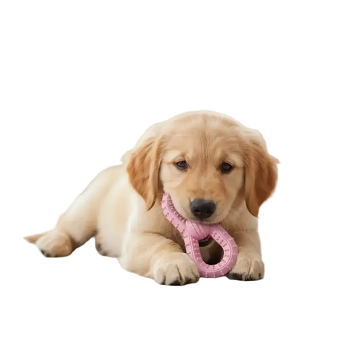 Rosa - Achtförmiges Hundekauspielzeug zur Zahnreinigung mit Noppen für die Zahnpflege